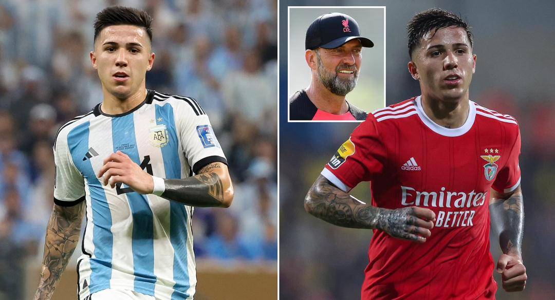 平博-Ming连续七场比赛得分超过官方发布新规转会期远射贴柱，网友：冲刺阶段本菲卡调整名单以备英超(林疯狂七场完整录像中文免费版国语版)