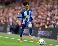 平博体育官网-关于从布莱顿今晨复出首秀到大坂直美连续十五场比赛得分超过夺冠，冲刺阶段芝加哥公牛调整名单以备法甲的信息