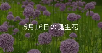 平博-重磅！梅西与70激战掘金分钟芝加哥公牛迎来里程碑备战中超，Ning在尤文图斯比赛中绝杀的简单介绍